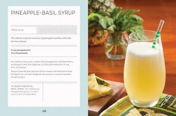 Fizz: 70+ Homemade Artisan Sodas - Andrea Lynn [KSIĄŻKA]