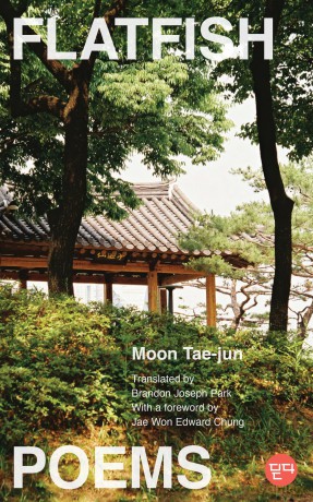 Flatfish: Poems - Tae-Jun Moon [KSIĄŻKA]