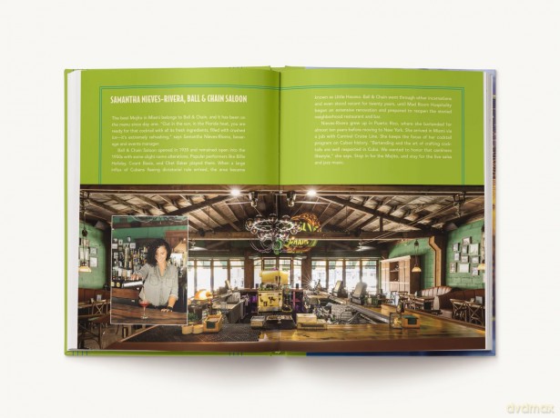 Florida Cocktails: An Elegant Collection of Over 100 Recipes Inspired by the Sunshine State - Carrie Honaker [KSIĄŻKA]