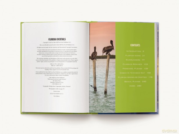Florida Cocktails: An Elegant Collection of Over 100 Recipes Inspired by the Sunshine State - Carrie Honaker [KSIĄŻKA]