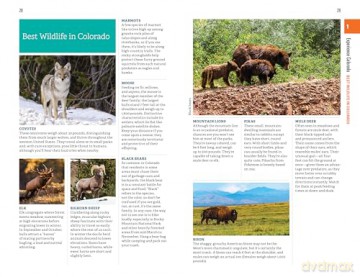 Fodor's Colorado - Fodor's Travel Guides [KSIĄŻKA]