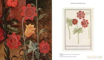 Forever Flowers: Mastery and Meaning of Flower Paintings in the Low Countries - Sven Van Dorst [KSIĄŻKA]