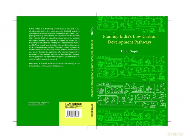 Framing India's Low-Carbon Development Pathways - Dipti Gupta [KSIĄŻKA]