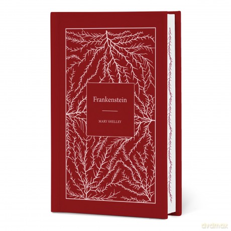 Frankenstein - Mary Shelley [KSIĄŻKA]