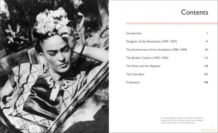 Frida: Woman. Artist. Icon.: 3 - Chiara Pasqualetti Johnson [KSIĄŻKA]