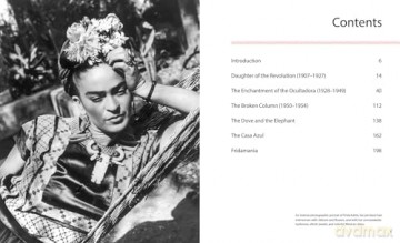 Frida: Woman. Artist. Icon.: 3 - Chiara Pasqualetti Johnson [KSIĄŻKA]