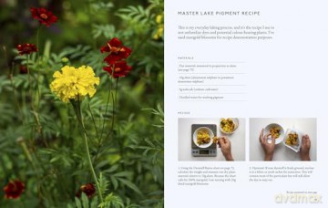 From Plant to Pigment: How to make your own vibrant inks, pastels and paints - Natalie Stopka [KSIĄŻKA]