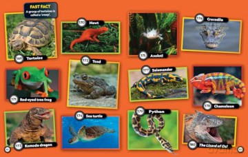 Fun Riddle Book: 300 fun riddles and brain-teasers - National Geographic Kids [KSIĄŻKA]