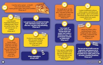 Fun Riddle Book: 300 fun riddles and brain-teasers - National Geographic Kids [KSIĄŻKA]