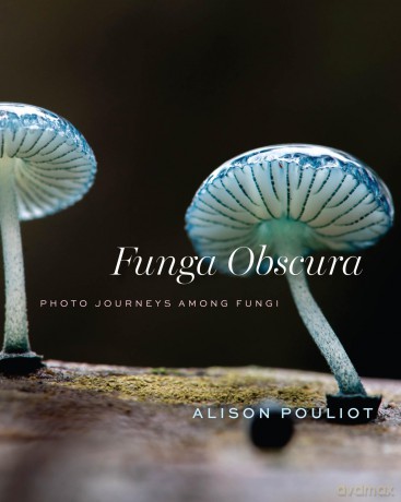 Funga Obscura: Photo Journeys Among Fungi - Alison Pouliot [KSIĄŻKA]
