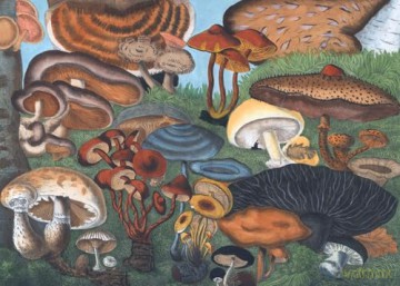 Fungi Decoded: Encounters with Thirty Fungi - Britt A. Bunyard [KSIĄŻKA]