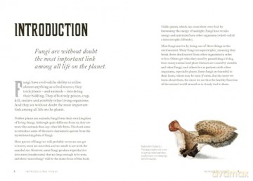 Fungi Decoded: Encounters with Thirty Fungi - Britt A. Bunyard [KSIĄŻKA]
