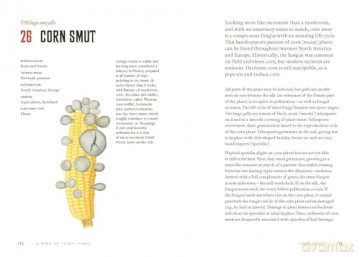 Fungi Decoded: Encounters with Thirty Fungi - Britt A. Bunyard [KSIĄŻKA]