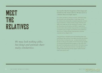 Fungi Decoded: Encounters with Thirty Fungi - Britt A. Bunyard [KSIĄŻKA]