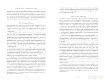 Gaian Tarot: Healing the Earth, Healing Ourselves, 2nd Edition - Joanna Powell Colbert [KSIĄŻKA]
