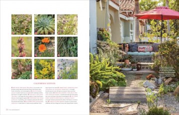Garden to the Max: Joyful, Visionary, Maximalist Design - Teresa Woodard [KSIĄŻKA]