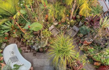 Garden to the Max: Joyful, Visionary, Maximalist Design - Teresa Woodard [KSIĄŻKA]