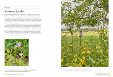 Gardenista: The Low-Impact Garden: A Sourcebook for Sustainable Outdoor Spaces - Editors of Gardenista [KSIĄŻKA]
