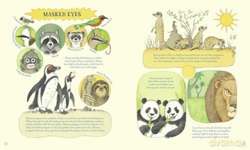 Genius Eyes: A Curious Animal Compendium: 3 - Vitali Konstantinov [KSIĄŻKA]