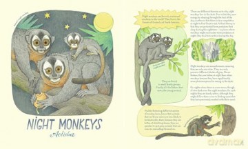 Genius Eyes: A Curious Animal Compendium: 3 - Vitali Konstantinov [KSIĄŻKA]