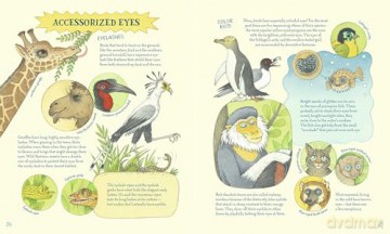 Genius Eyes: A Curious Animal Compendium: 3 - Vitali Konstantinov [KSIĄŻKA]