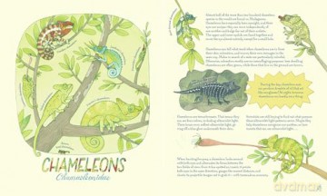 Genius Eyes: A Curious Animal Compendium: 3 - Vitali Konstantinov [KSIĄŻKA]
