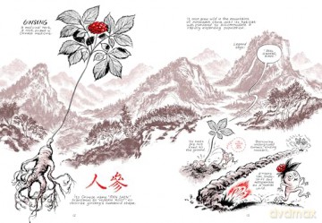 Ginseng Roots: A Memoir - Craig Thompson [KOMIKS]