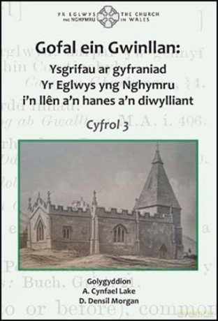 Gofal ein Gwinllan 3 - Ysgrifau ar gyfraniad Yr Eglwys yng Nghymru i'n llén ein hanes a'n...: Ysgrifau ar gyfraniad Yr Eglwys yng Nghymru i'n llén ein hanes a'n diwylliant - A. Cynfael Lake [KSIĄŻKA]