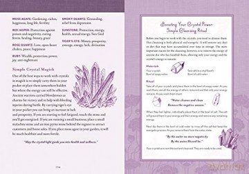 Good Witch's Perpetual Planner: 4 - Shawn Robbins [KSIĄŻKA]