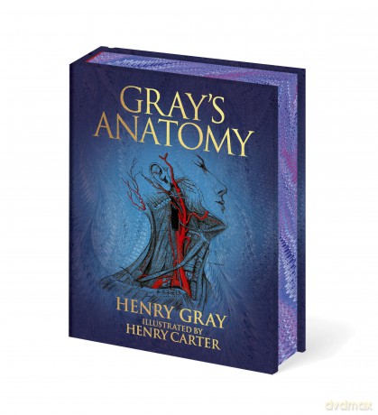 Gray's Anatomy - Henry Gray [KSIĄŻKA]