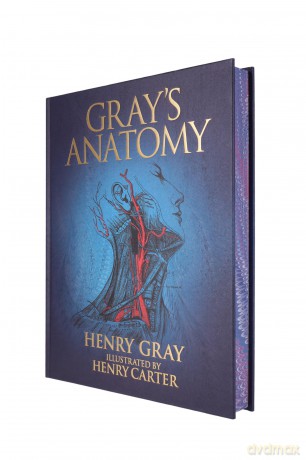 Gray's Anatomy - Henry Gray [KSIĄŻKA]