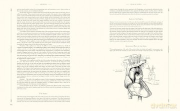 Gray's Anatomy - Henry Gray [KSIĄŻKA]