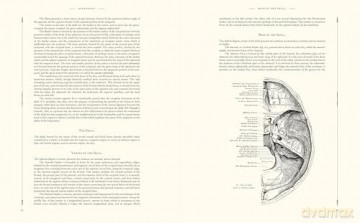 Gray's Anatomy - Henry Gray [KSIĄŻKA]