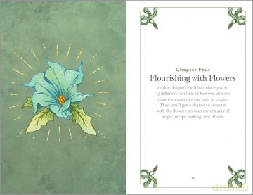 Green Witchcraft: A Practical Guide to Discovering the Magic of Plants, Herbs, Crystals, and Beyond - Paige Vanderbeck [KSIĄŻKA]