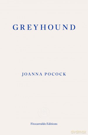 Greyhound: by Joanna Pocock - Joanna Pocock [KSIĄŻKA]
