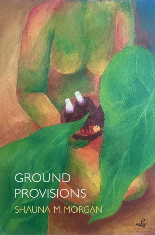 Ground Provisions - Shauna M. Morgan [KSIĄŻKA]