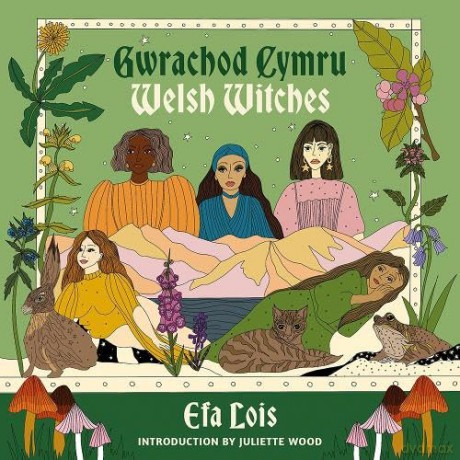 Gwrachod Cymru | Welsh Witches - Efa Lois [KSIĄŻKA]