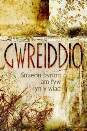 Gwreiddio [KSIĄŻKA]