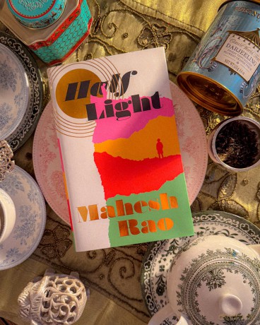 Half Light: 'A stunning novel, gorgeously written' - Mahesh Rao [KSIĄŻKA]