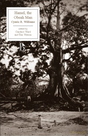Hamel, the Obeah Man - Cynric R. Williams [KSIĄŻKA]