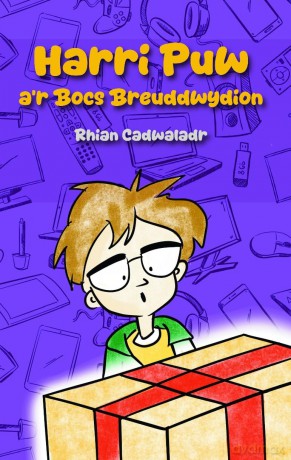 Harri Puw a'r Bocs Breuddwydion - Rhian Cadwaladr [KSIĄŻKA]