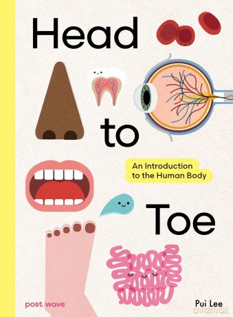 Head to Toe: An Introduction to the Human Body - Pui Lee [KSIĄŻKA]