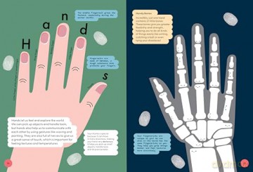 Head to Toe: An Introduction to the Human Body - Pui Lee [KSIĄŻKA]