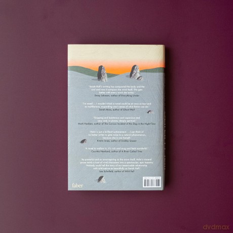 Helm: 'Incandescently good.' Sarah Perry - Sarah Hall [KSIĄŻKA]