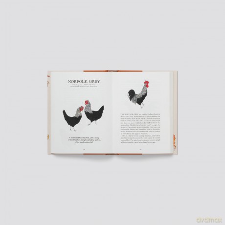 Hen Party: A Celebration - Arthur Parkinson [KSIĄŻKA]