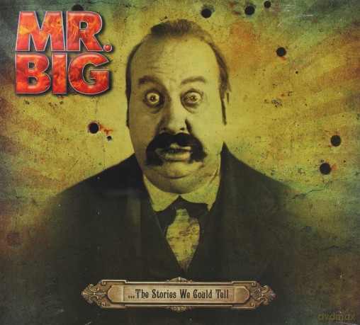 Mr Big: The Stories We Could Tell (didipack) [CD]