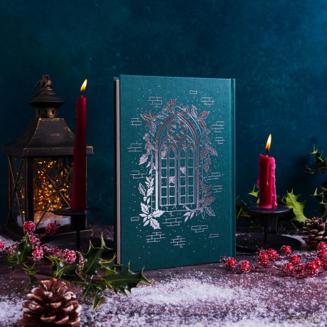 Holly: A Belladonna Novella - Adalyn Grace [KSIĄŻKA]