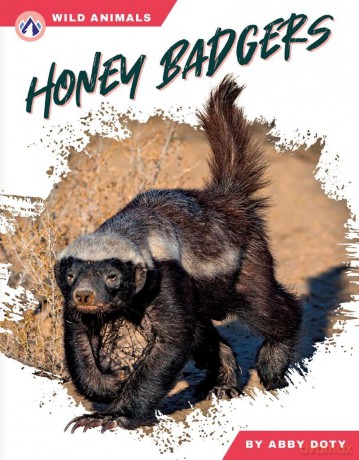 Honey Badgers - Dalton Rains [KSIĄŻKA]
