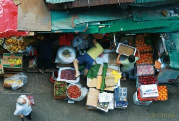 Hong Kong in 100 Photos - Joyce Yung [KSIĄŻKA]