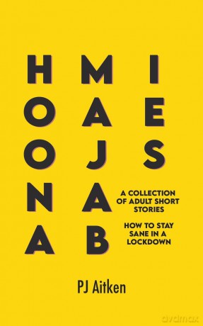 Hoonamajabies - A Collection of Adult Short Stories: How to Stay Sane in a Lockdown - PJ Aitken [KSIĄŻKA]